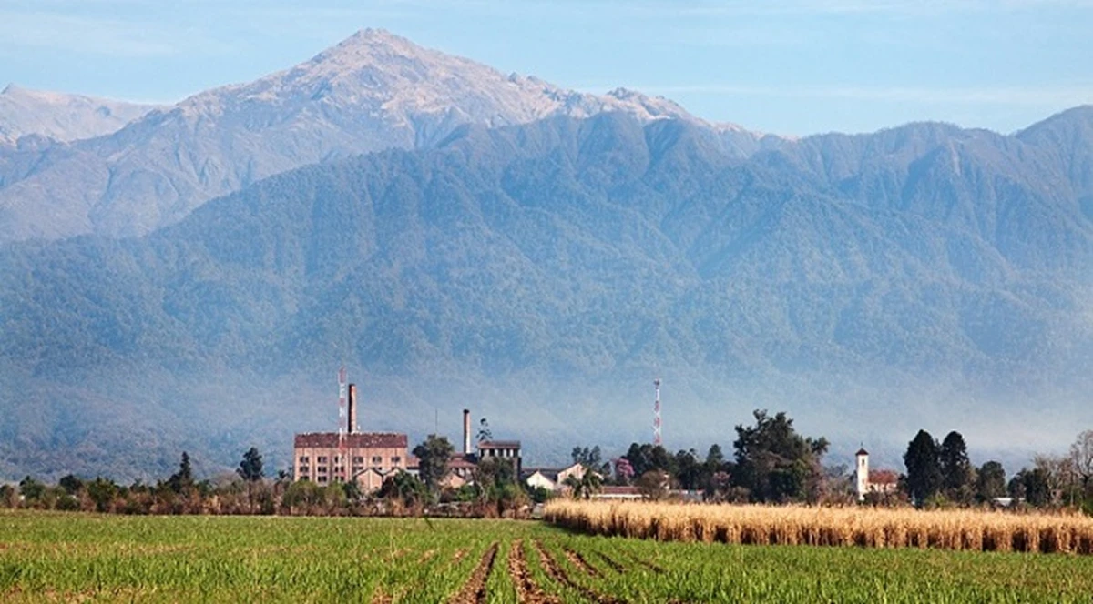 INGENIO, CAÑA Y MONTAÑA. Un típico paisaje tucumano. / ARCHIVO