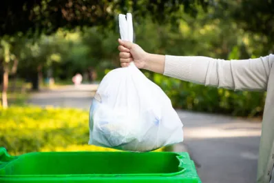 Sin Bolsas plásticas: entre mitos, realidades y el desafío de una gestión responsable