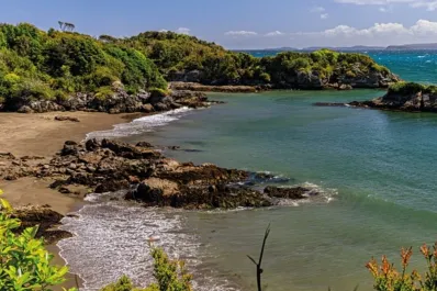 La pequeña Galápagos: así es la isla que la ONG de Leonardo DiCaprio donará a Chile