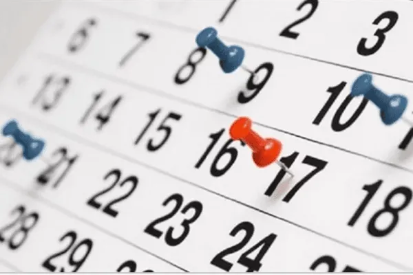 Calendario 2025: ¿cuántos feriados habrá en julio?