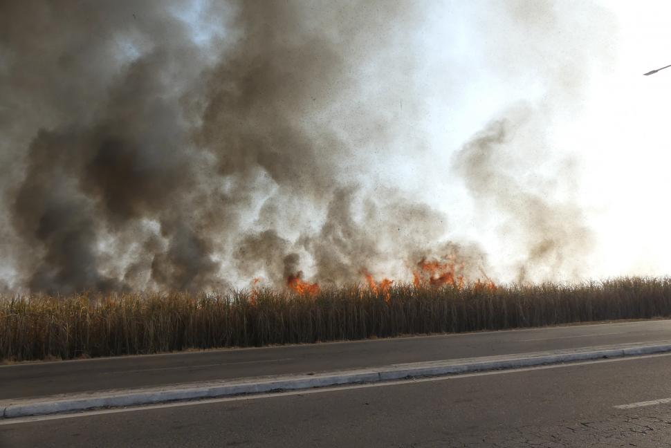 la gaceta / fotos de osvaldo ripoll