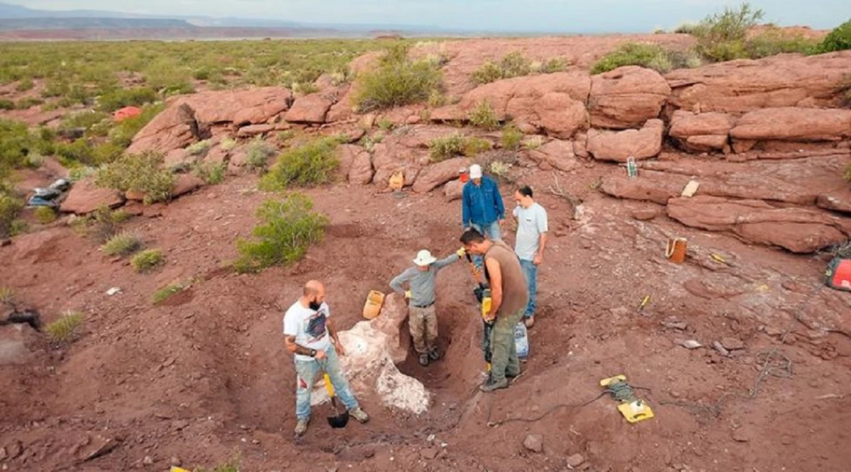 Investigadores del CONICET hallaron restos de un dinosaurio que vivió hace 95 millones de años
