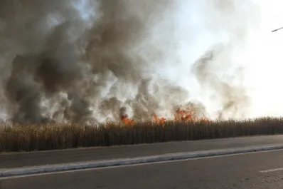 Tolerancia cero: el Gobierno endurece las sanciones por la quema de caña y pastizales en Tucumán
