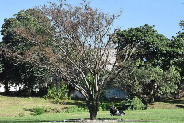 El frío empezaría a ceder en Tucumán: ¿qué se espera para las vacaciones de invierno?