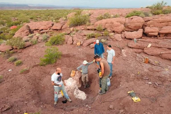 Investigadores del Conicet hallaron restos de un dinosaurio que vivió hace 95 millones de años