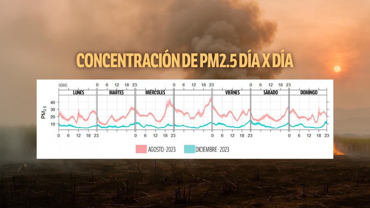 Gráfico comparativo de agosto y diciembre de 2023 respecto a los niveles de contaminación del aire.