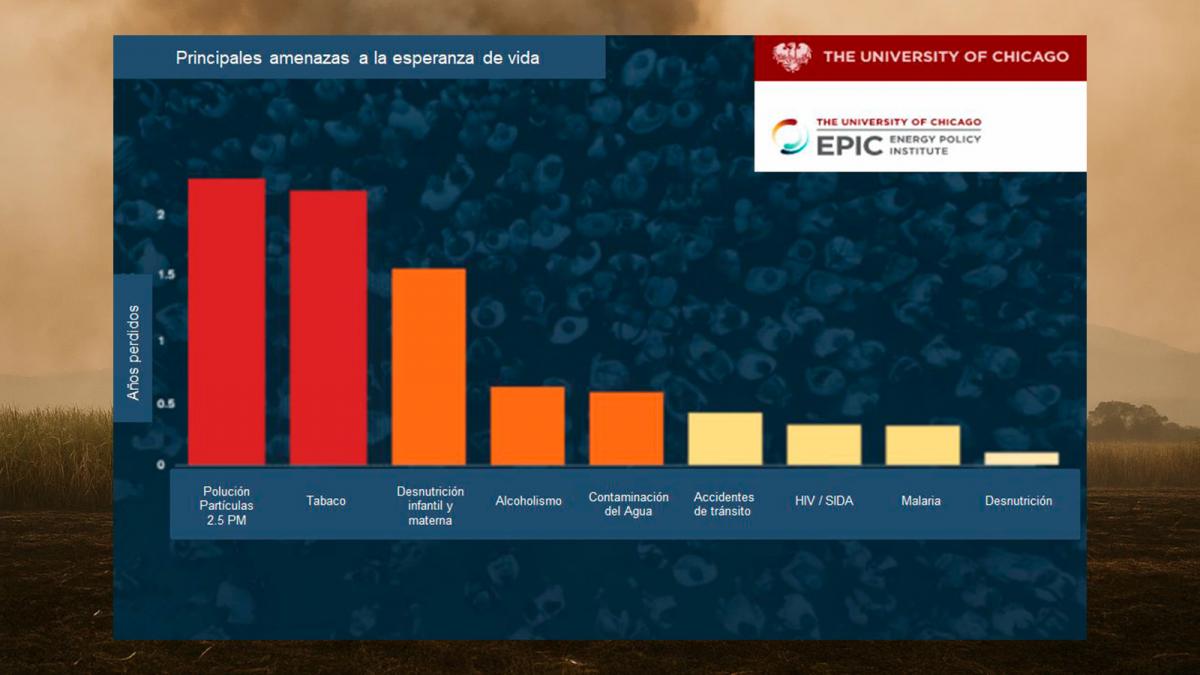 Grafico gentileza del doctor Héctor Hugo Altieri basado en datos de la Universidad de Chicago.