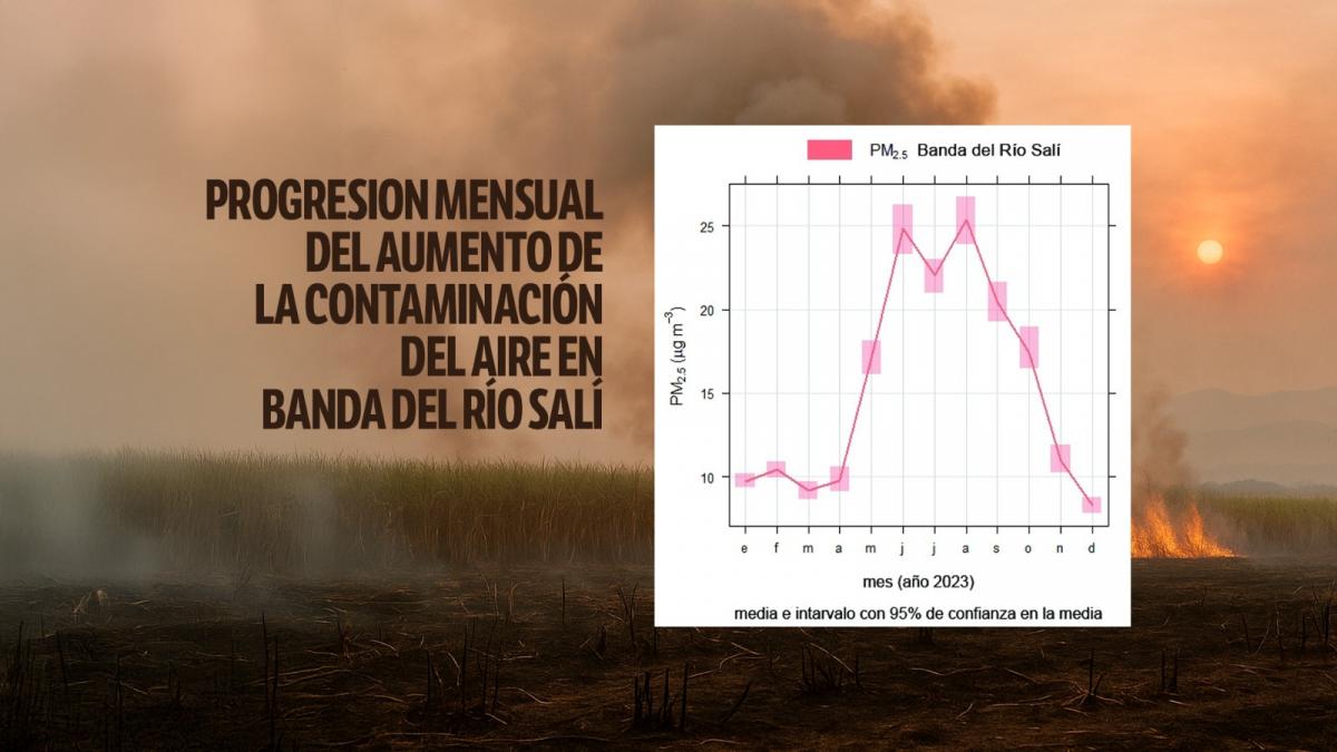 El Laboratorio de Estudios Atmosféricos posee datos de calidad del aire de diversas municipalidades que muestran un comportamiento similar