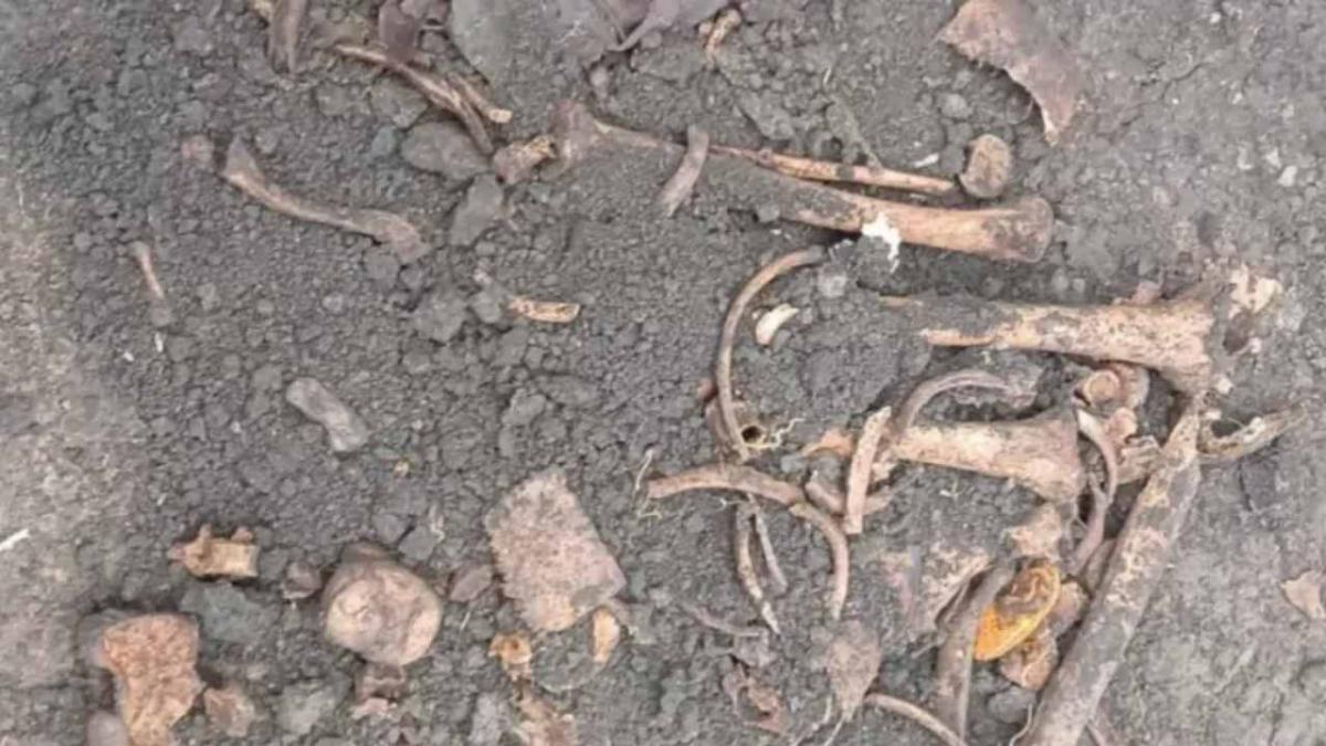 Macabro hallazgo en la casa que habitó Cerati: se conocieron los escalofriantes detalles de la autopsia