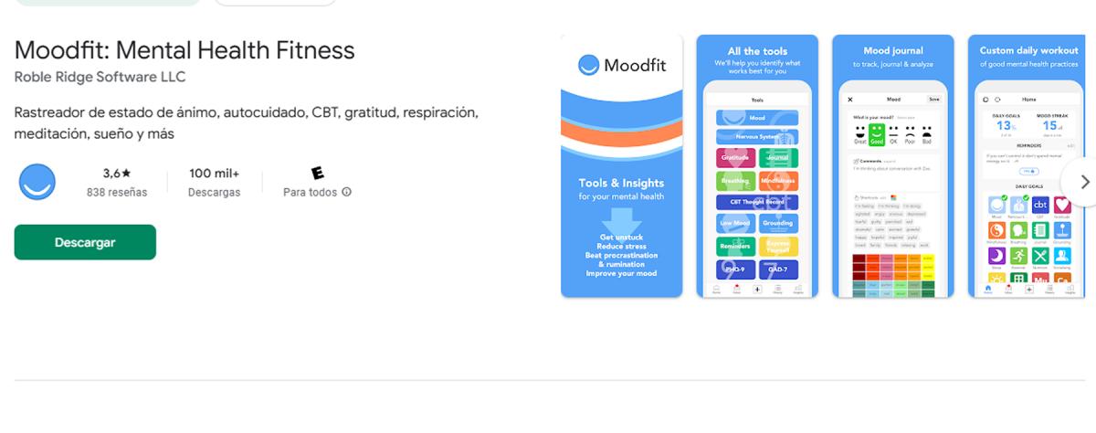 MOODFIT. Ideal para quienes quieren conocerse mejor y detectar patrones en su bienestar emocional. / CAPTURA DE PANTALLA
