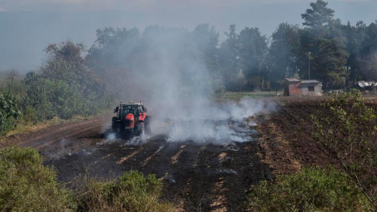 En la zona sur de la provincia, un vehículo trabaja sobre rastrojo quemado durante junio de 2025.
