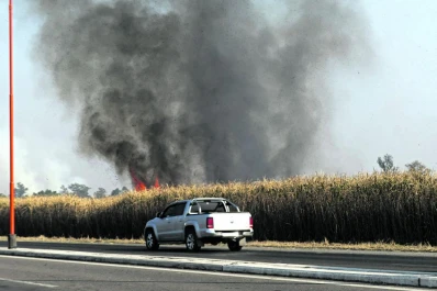 Comenzó el operativo para evitar la quema de cañaverales