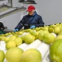 El fantasma de un invierno sin gas: se aceleran las negociaciones entre la Nación y la Provincia para evitar una crisis en las industrias tucumanas