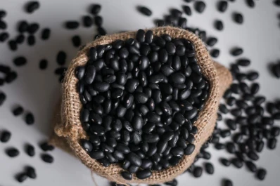 “En 2026 podría haber mejor precio para nuestro poroto”