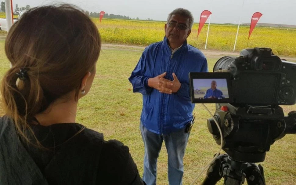 COSECHA LOCAL. El asesor Vizgarra estimó que Tucumán puede llegar a producir unas 20.000 toneladas de porotos, con rindes medios de entre 1.400 y 1.500 kilos por ha, en el mejor de los casos. BICHOS DE CAMPO
