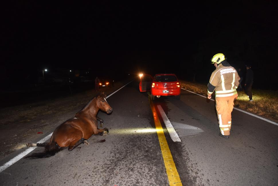 SINIESTRO. Efectivos del cuartel de Bomberos Voluntarios de Concepción trabajaron durante la madrugada para asistir la emergencia.