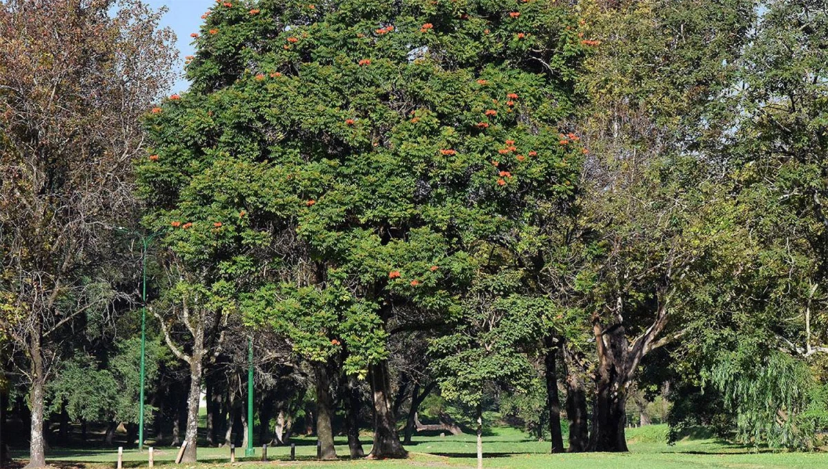 El tiempo en Tucumán: el cielo estará despejado y se viene el aumento de la temperatura
