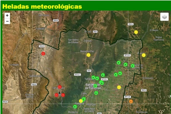 Cómo impactaron las heladas en los cultivos