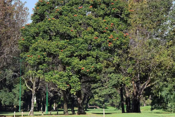 El tiempo en Tucumán: el cielo estará despejado y se viene el aumento de la temperatura