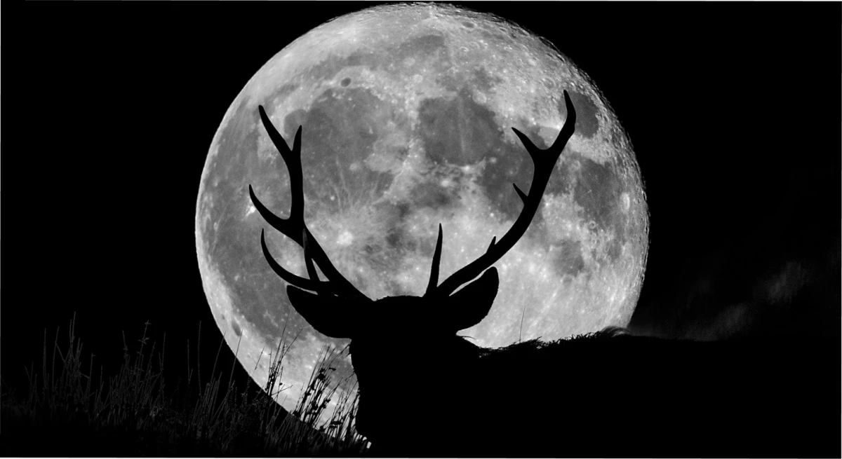 La Luna de los Ciervos ocurrirá esta semana.