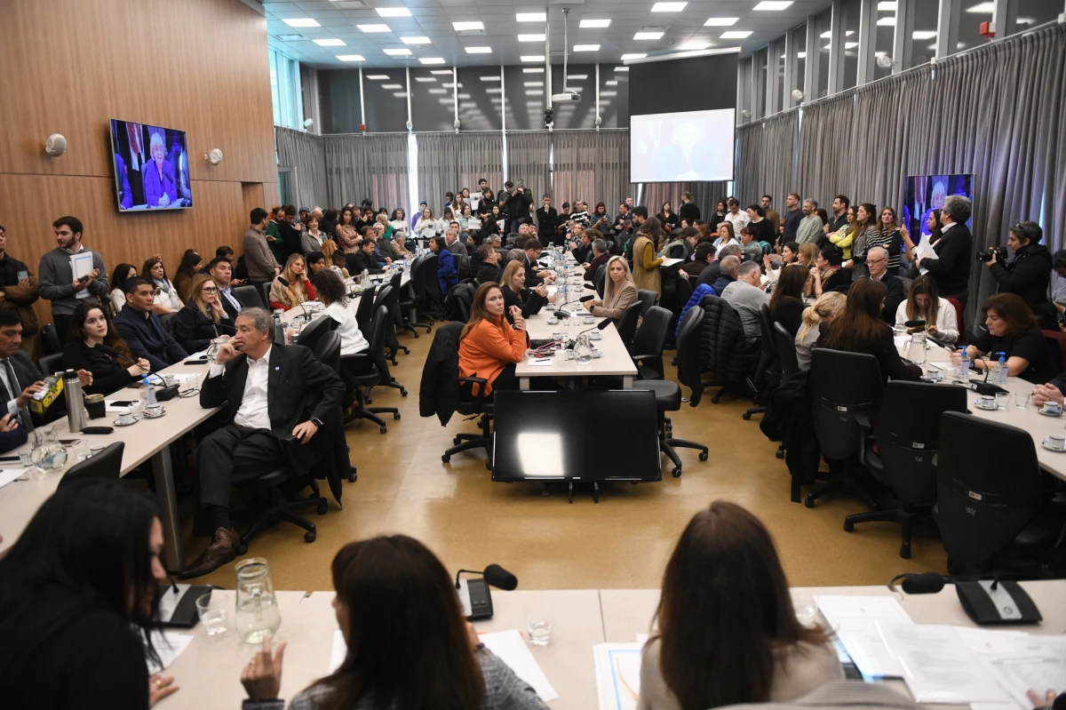 Plenario de Comisiones de Diputados. FOTO HCDN