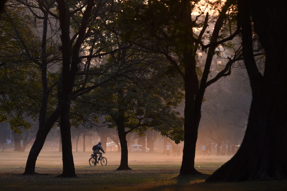 ESCENA EN EL PARQUE. La imagen muestra a un ciclista rodeado de árboles y una luz muy suave. / DIEGO ARÁOZ