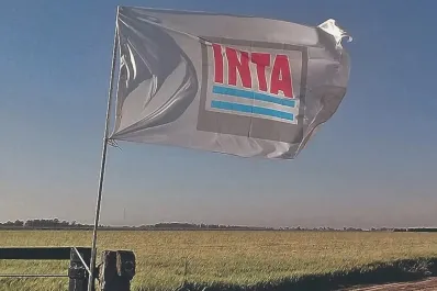Impacto del decreto de Sturzenegger en Tucumán: prevén 75 despidos en el INTA y centralización en Buenos Aires