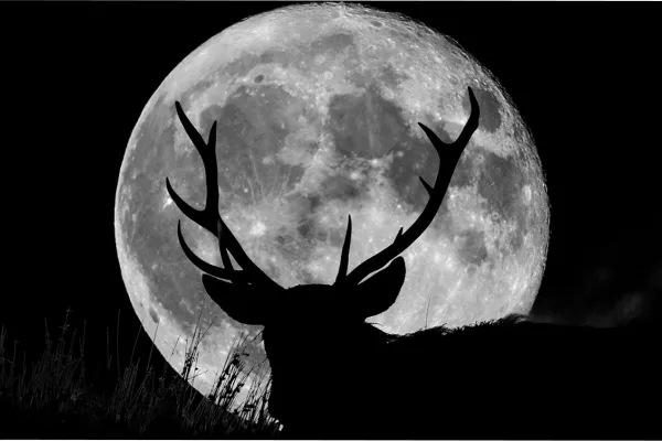 La Luna Llena del Ciervo se acerca: ¿cuándo ocurrirá el espectáculo astronómico?
