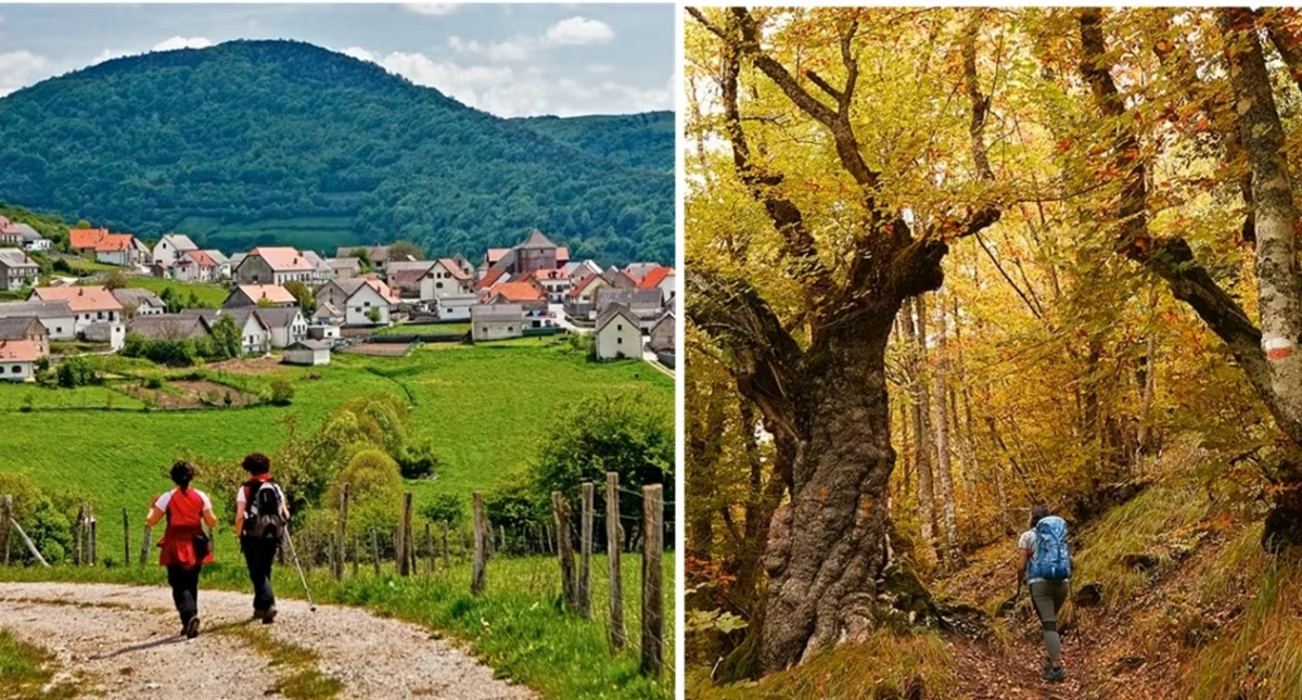 Rutas de senderismo por la Selva de Irati: naturaleza y leyenda en Navarra