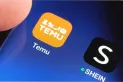 Alertan por una nueva modalidad de estafa en compras por Shein y Temu