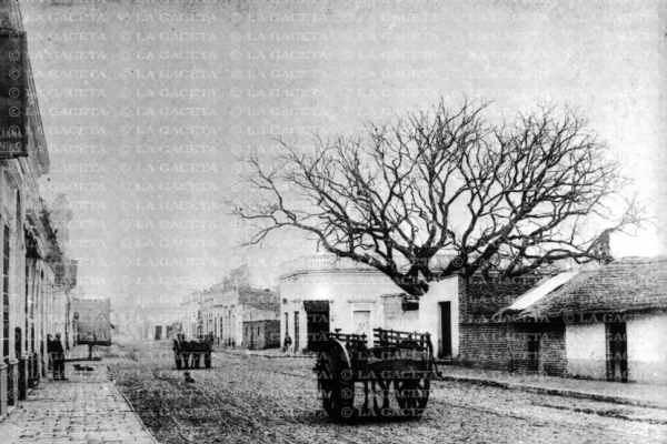 Recuerdos fotográficos: la “Esquina del pacará” en San Martín y Catamarca