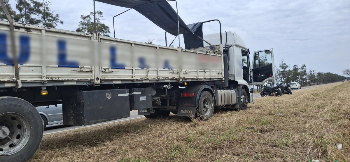 Interceptan un camión que transportaba más de 1.300 kilos de hojas de coca de contrabando en Salta