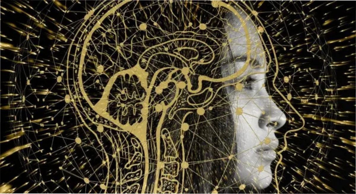 Las alteraciones que sufre el cerebro durante una ruptura.