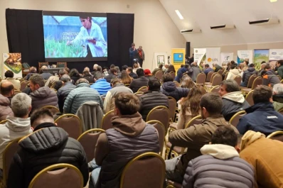 Entre las campañas 2023/24 y 2024/25 cayó la secuencia soja-barbecho-maíz-barbecho-soja