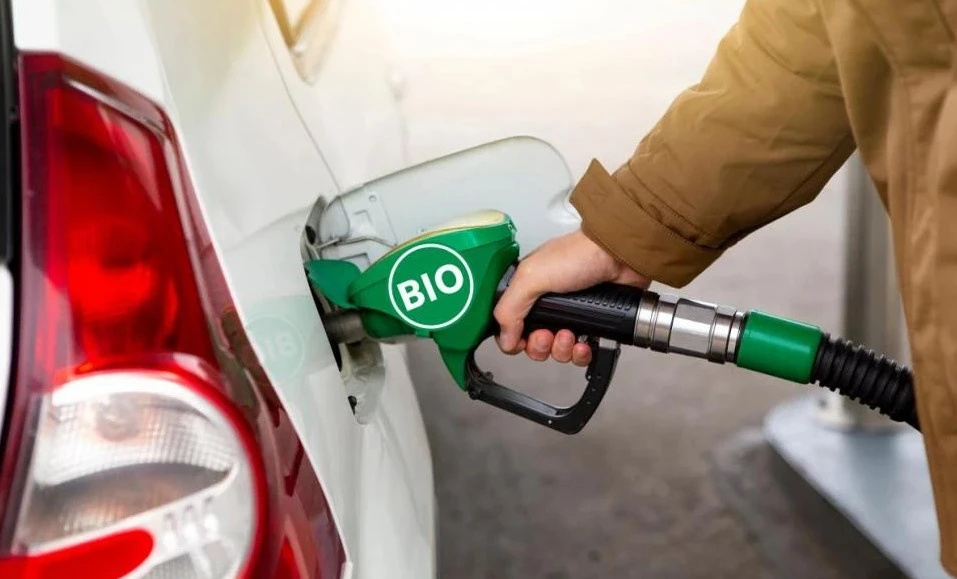 DINERO. El Banco Mundial fijó un precio para esos bonos, que están ligados a las toneladas de CO2 que dejan de emitirse; actualmente este valor promedia los U$S 2 por tonelada de CO2.