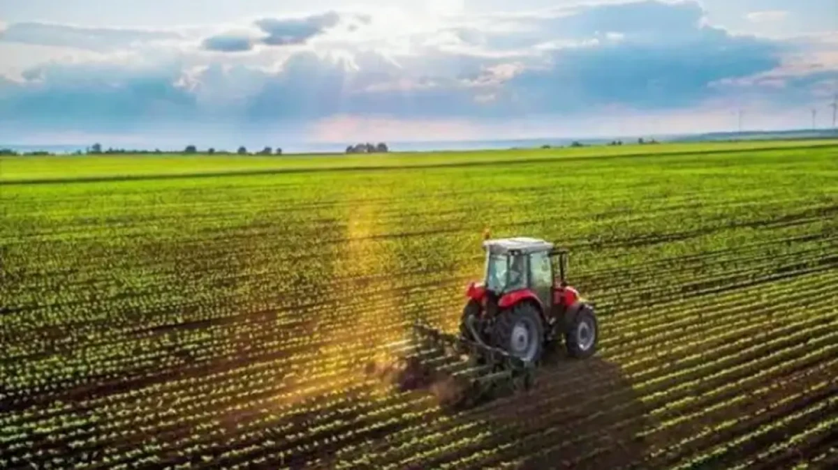 Duro documento de la Sociedad Rural de Rosario por la asfixiante presión impositiva