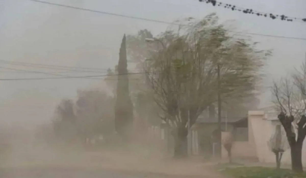 Alerta meteorológica amarilla: se aproximan días con vientos de 100km/h en el norte