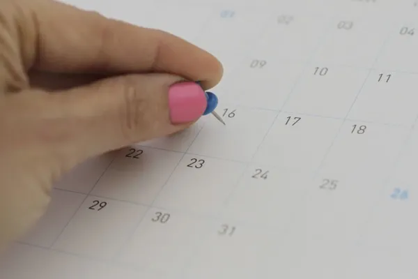 Para planificar con tiempo: estos son todos los feriados y días libres que trae agosto en Chile