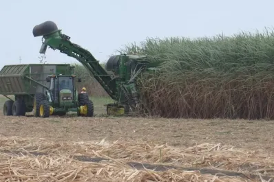 Dimes y diretes de la política: medidas para el sector cañero, lujos para funcionarios y el cierre de Vialidad Nacional