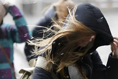 Rige una alerta naranja por frío y fuertes vientos: ¿qué provincias deberán tener precaución?