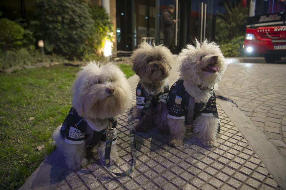 ESPERANDO AL EQUIPO. Pedro, Teo y Benicio, a las afueras del hotel Sheraton.