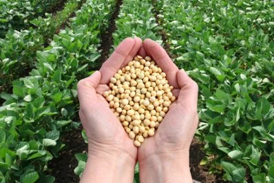 La Eeaoc está enfocada sobre el desarrollo de dos modelos de bioinsumos