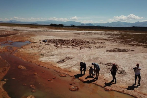 Una startup con base en Tucumán cautivó a la Fundación Gates