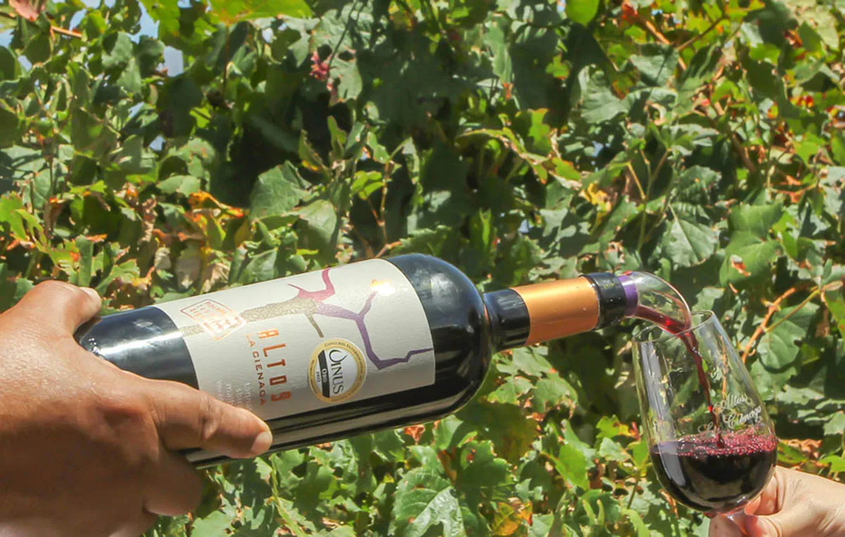 Ruta del Vino de Altura, una propuesta turística para degustar y conocer los viñedos de los Valles Calchaquíes