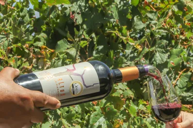 Ruta del Vino de Altura, una propuesta turística para degustar y conocer los viñedos de los Valles Calchaquíes