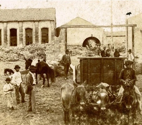 “Potencia no: país próspero, aunque dependiente”: el rol de Tucumán a partir de la agroindustria azucarera