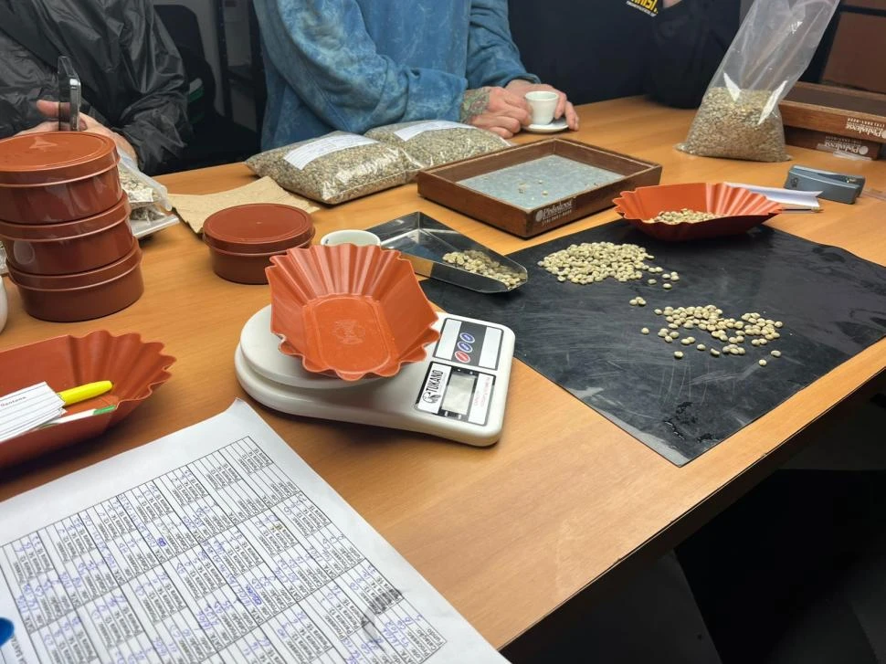 El nuevo y verdadero sabor de especialidad, directo en tu mesa con Café Black