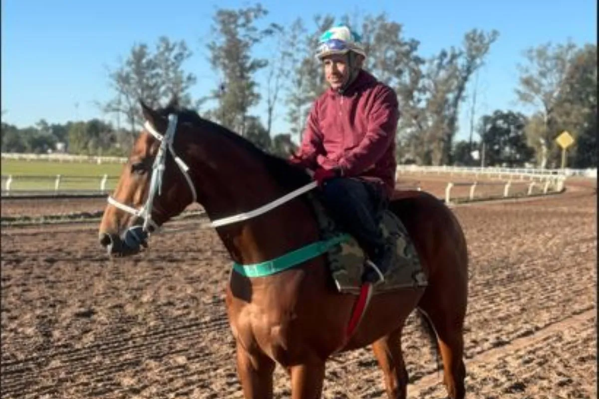 PROTAGONISTA. Sweet Elementary será conducido por el jinete Pablo Alarcón en el cotejo de 2.000 metros.