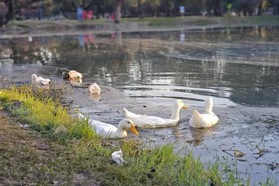 Así quedó el parque 9 de Julio tras el Día del Amigo: aceite en el lago y toneladas de basura
