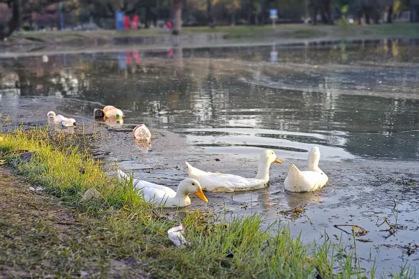 Así quedó el parque 9 de Julio tras el Día del Amigo: aceite en el lago y toneladas de basura